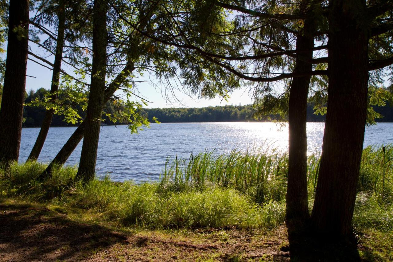 Ferienwohnung Am Weltnaturerbe Grumsin Ziehten Buitenkant foto